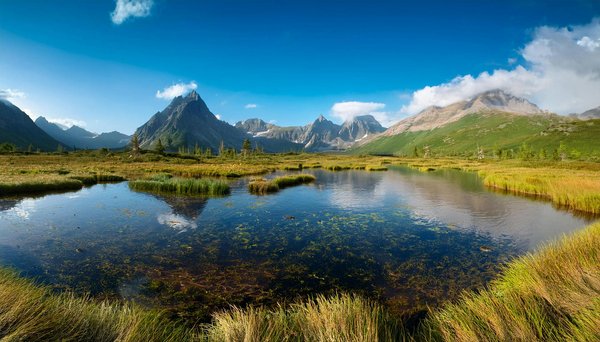 Unearthing the timeless artistry of british ceramics: your ultimate resource for masterful craftsmanship